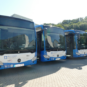 Linienbusse der Stadtwerke Landshut