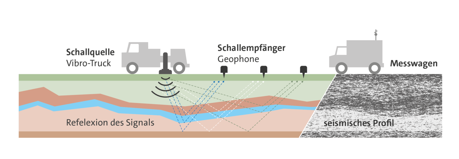 Schema Seismik Messung Schema einer Seismik-Messung